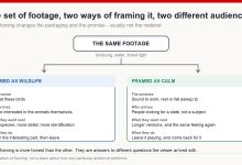 Diagram showing one set of nature footage framed two ways, attracting a wildlife audience or a calm-and-focus audience with different expectations