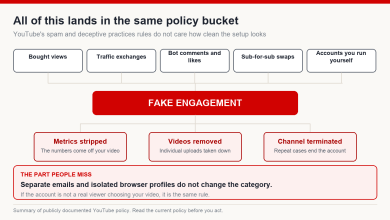 Diagram showing bought views, traffic exchanges, bot comments, sub-for-sub swaps and self-run accounts all falling into the fake engagement category, with metrics stripped, videos removed or channel terminated as outcomes