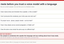Checklist of five tests to run on a voice model before trusting it with a language: intonation, niche vocabulary, proper nouns, consistency over length, consistency across sessions