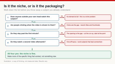 Decision chart with four checks separating a YouTube niche problem from a packaging problem