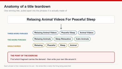 A YouTube title split into three-word phrases, two-word phrases and single words for keyword analysis