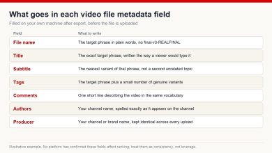 Worked example of what to write in each video file metadata field: file name, title, subtitle, tags, comments, authors and producer