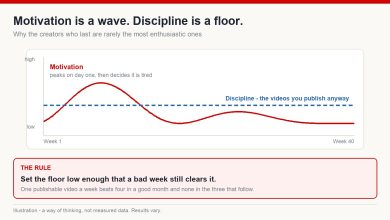 Chart contrasting motivation as a fading wave with discipline as a flat floor line across forty weeks