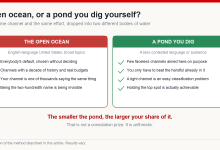Comparison of the crowded open-ocean market against a smaller self-chosen pond, listing competition, algorithm clarity and the creator's realistic position in each
