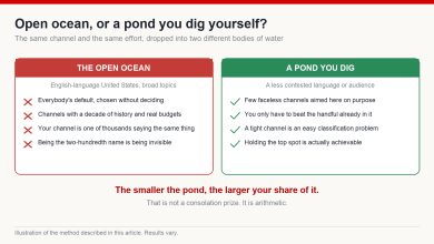 Comparison of the crowded open-ocean market against a smaller self-chosen pond, listing competition, algorithm clarity and the creator's realistic position in each