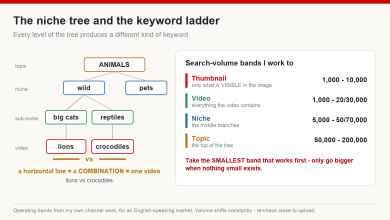 A niche tree from topic down to individual video, beside the search-volume bands used for thumbnail, video, niche and topic keywords