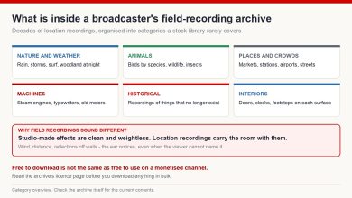 Six categories inside a broadcaster's field recording archive: nature, animals, places, machines, historical recordings and interiors