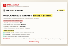 BANI Academy card: the four organisation problems that arrive with a second YouTube channel, and the order to add tools in