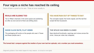 Four cards describing signals that a niche has reached its ceiling, with what each one usually means