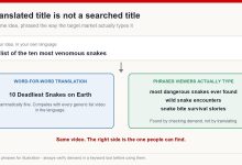 Diagram contrasting a word-for-word translated YouTube title with the phrases viewers actually type