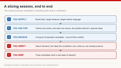 Five-stage workflow for a niche slicing session: what you supply, what you ask for, what you receive, what you verify, and what you keep