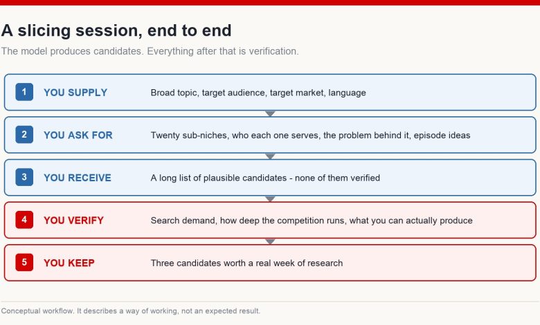 Five-stage workflow for a niche slicing session: what you supply, what you ask for, what you receive, what you verify, and what you keep