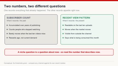 Comparison of what a subscriber count records versus what a recent view pattern records when researching a YouTube niche