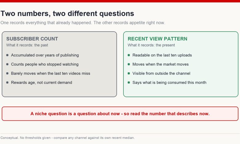 Comparison of what a subscriber count records versus what a recent view pattern records when researching a YouTube niche