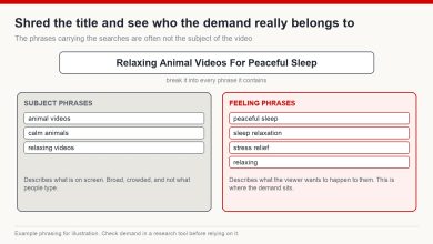 A winning video title broken into component phrases, with the emotional phrases separated from the subject phrases