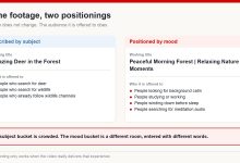 The same forest footage described by subject versus positioned by mood, and the different audiences each wording reaches