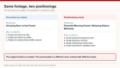 The same forest footage described by subject versus positioned by mood, and the different audiences each wording reaches